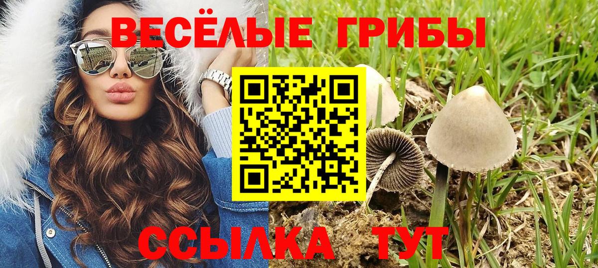 Галлюциногенные грибы MAGIC MUSHROOMS  Вход с VPN  Феодосия 